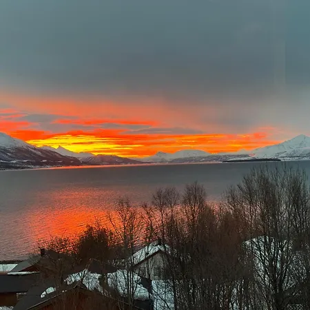 Arctic Aurora * Tromsø