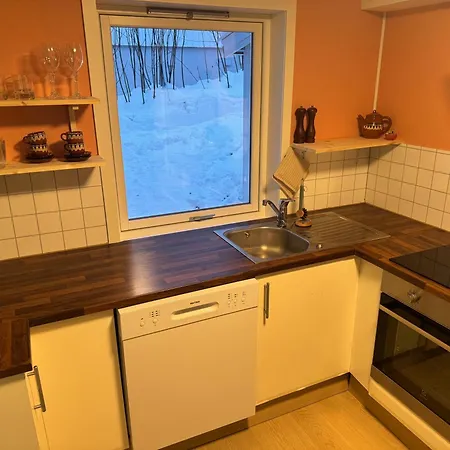 Appartamento Arctic Aurora *
