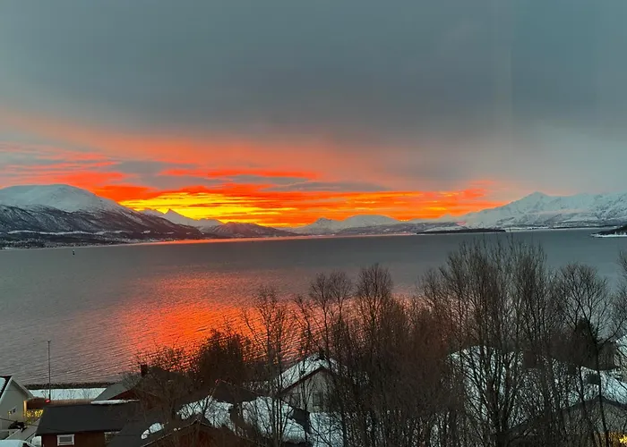 Arctic Aurora * Tromsø