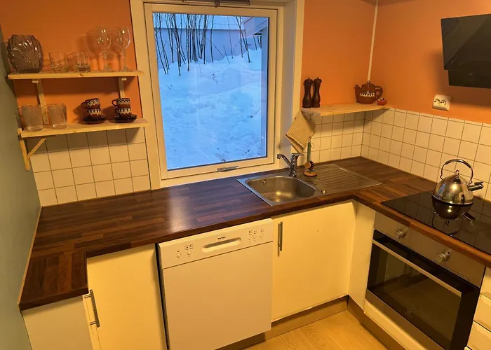 Appartamento Arctic Aurora *
