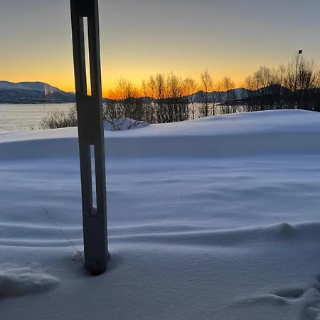 Arctic Aurora * Tromsø